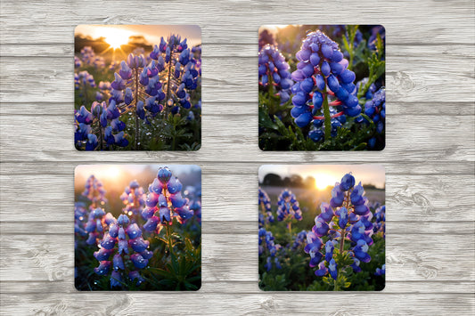 Texas Bluebonnet Coaster 4-Pack